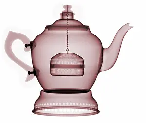 Radiograph Prints: X-Ray of a Tea Pot