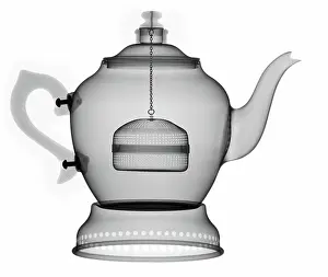 Mixed Science Images Prints: X-Ray of a Tea Pot