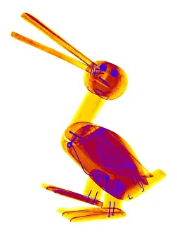 Object Prints: X-ray of a Wooden Duck Toy