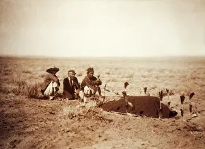 Native Prints: Yebichai Sweat, 1905