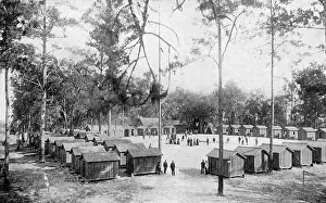 Epidemic Prints: Yellow Fever Quarantine Station
