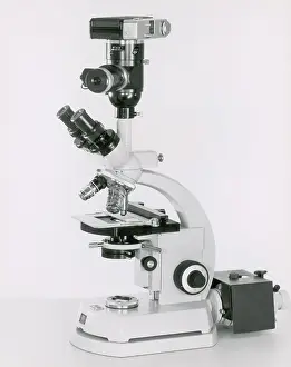 Shot Prints: Zeiss Standard Microscope