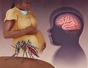 Pathogen Prints: Zika Virus, illustration