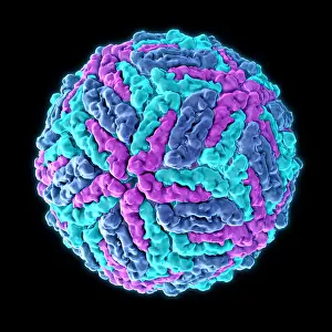 Pathogen Prints: Zika virus, Molecular Model
