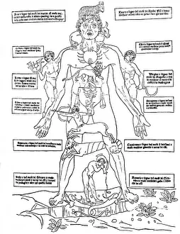 Pseudoscience Prints: Zodiac Man, Medical Astrology