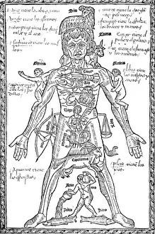Pseudoscience Prints: Zodiac Man, Medical Astrology