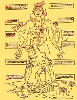 Figure Prints: Zodiac Man, Medical Astrology